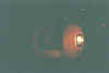 Graphics/2003Fall_02.jpg (1098711 bytes)