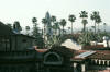 Graphics/2005spng_01_small.JPG